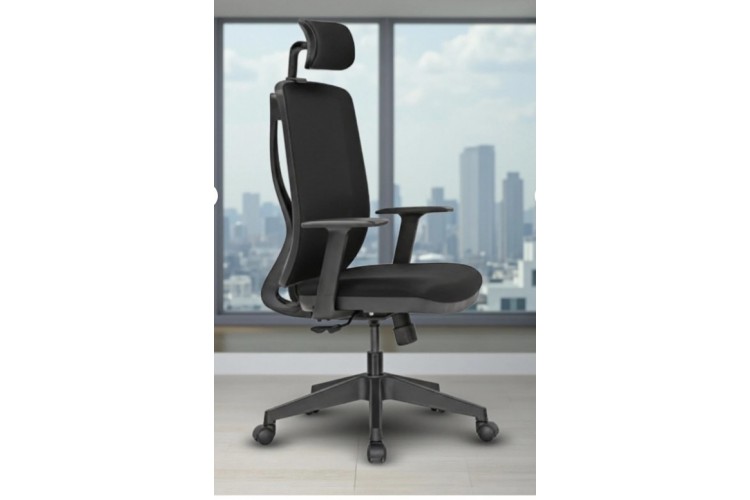 Otto Müdür Koltugu 